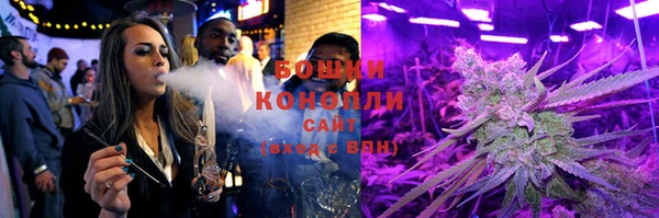 бошки Алексин